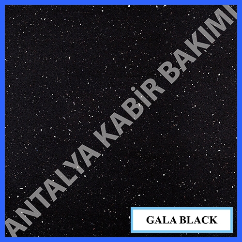 gala_black_b664e