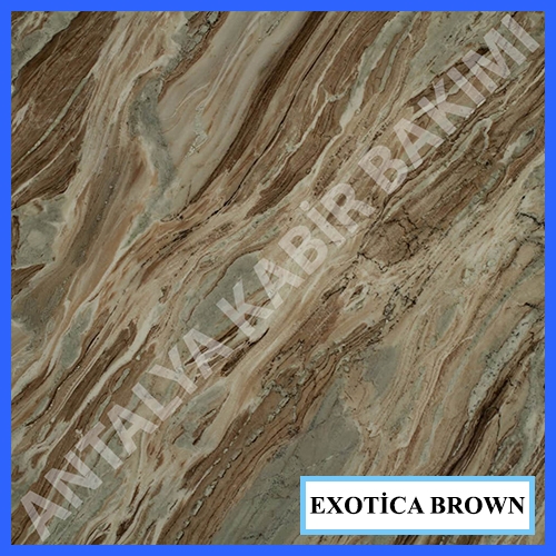 exotica-brown2